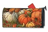 MailWraps Pumpkin Garden Mailbox Cover 04071