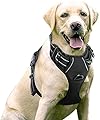 rabbitgoo No-Pull Dog Harness Padded Adjustable Pet Vest Harness with Handle Front Clip Harness for Large Dogs Training or Walking, Durable and No Choking-Black …