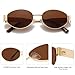 RayGaze Retro Oval Sunglasses for Women, Trendy Sun Glasses with UV400 Protection, Fashion Accessories Gift