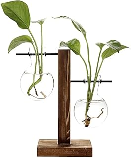 Desktop Glass Planter, with Stand Glass Planter, Plant Terrarium Bulb Vase,Transparent Bulb Vase with Wooden Stand, Desktop Hydroponic Glass Vase, Suitable for Bedroom Garden Office Decoration