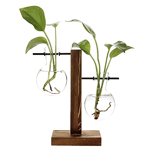 Desktop Hydroponik Glasvase, Hydrokultur Pflanzen Vase, Deko Holz Halter mit Hydroponik, Pflanzenhalter Hydroponische Glasvase, für Schlafzimmer, Wohnzimmer und Bürodekoration
