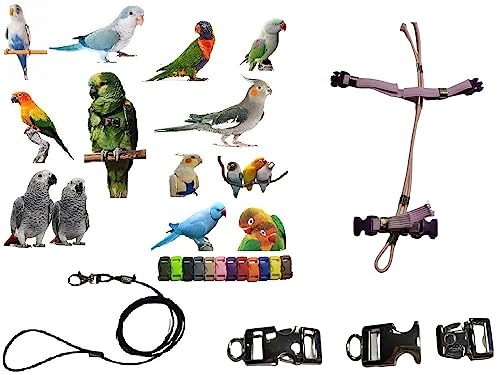 Arnés para loros ajustable con conectores de metal y cuerda elástica de 3 mm 6