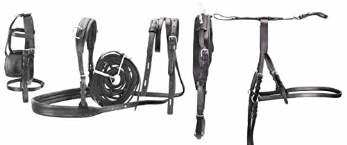 Umbria Equitazione Finimento calesse in Cuoio