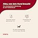 mera Essential Rind Hundetrockenfutter für ausgewachsene normal aktive Hunde, 2kg