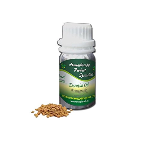 Fenugreek Essential Oil, Fenugreek Oil, 1 pack (1 X 50 g