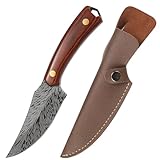 Aleevii 20 cm Küchenmesser Handgeschmiedetes Outdoor-Messer, Kochmesser mit hohem Kohlenstoffstahl, scharfes Ausbeinmesser für Camping BBQ, Gemüse und Fleisch mit Lederscheide.