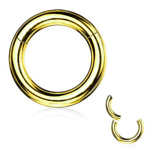 Amazon | [ピアスマニア] 8g『便利なワンタッチ』セグメント リング