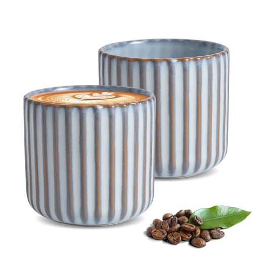 Luxvara 2PCS 180 ml Tazas de Café de Cerámica sin Asa - Tazas de Café para Espresso para agua y té - Resistentes al Calor - Colores Retro - Juego de regalo