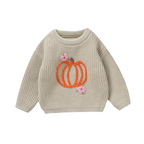 Toddler Baby Girls Ribbed Knit Pullover Sweater Classic Pumpkin Floral Embroidery Long Sleeve Oversized Tops