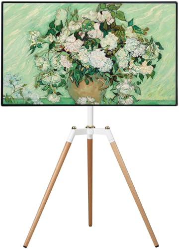 Fydeamer C[[ erX^h OrTVX^h 32-65C`Ή R[i[ ^ VESAKi iK er}Eg ω׏d40KG VR Ɨp Wp iK gݗĊȒP zCg