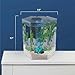 Tetra Bubbling LED Aquarium Kit 1 Gallon, Hexagon Shape, With Color-Changing Light Disc