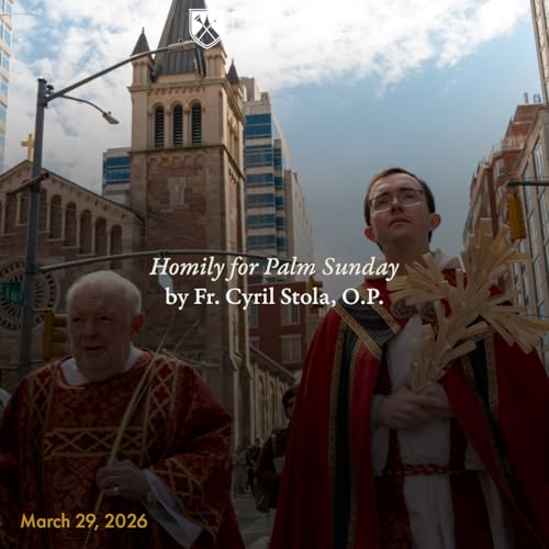 24. Homily for Palm Sunday by Fr. Cyril Stola, O.P.