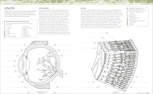The Human Body Coloring Book: The Ultimate Anatomy Study Guide, Second Edition (DK Human Body Guides) - Image 5