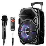 EARISE V30 PA System with Microphone