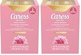 Caress Beauty Bar Soap For Silky, Soft Skin Daily Silk With Silk Extract and Floral Oil Essence 3.75 oz 2 Bars (Pack of 2)