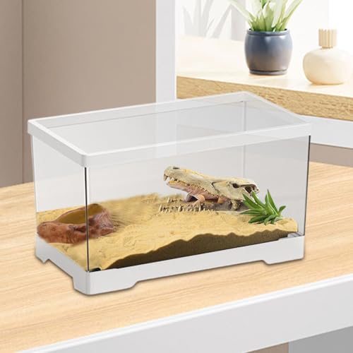 Aquário Para Tartarugas Aquáticas | Habitat Para Répteis Aquáticos,Terrário Habitat Com Drenagem No