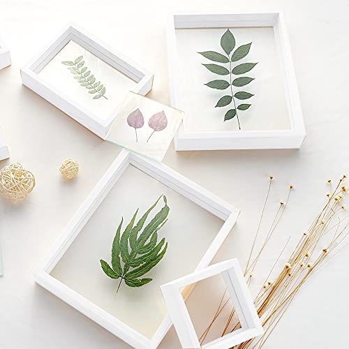 Image of Desi Rang Wooden Rectangular Frame For Wall Decor Table Top Hanging Any Green Or Dry Plant Leaf Picture Photo DIY Gift Home Decoration (White,Rec,7.5X5.5Inch,With Dry Leaf)