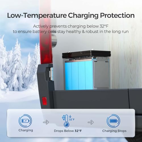 Image of Renogy 12V Lithium Battery 100Ah LiFePO4 Battery, 5000+ Deep Cycles Mini Size 100A BMS IP65 Group 22NF Marine Battery for Solar System, RV, Marine, Solar, Trolling Motor, Home Backup Power 3 Pack