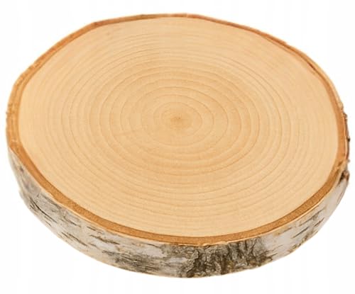Birkenholzscheibe f&uuml;r DIY-Projekte & Dekoration &ndash; unbehandelt, gereinigt, naturbelassen, mit Rinde &ndash; ideal f&uuml;r Basteln, Gravieren, Hochzeiten & Wohnaccessoires (1er pack), 20-24cm 3cm