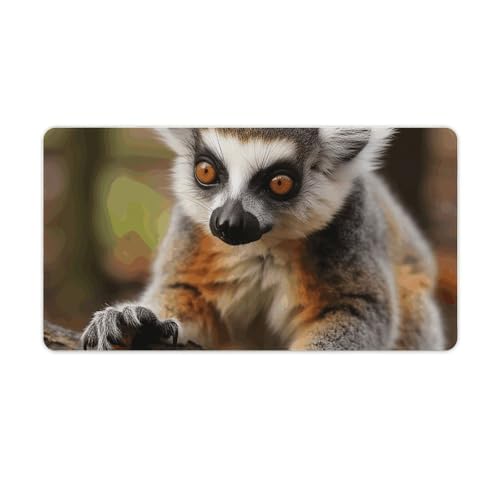 Tapis d'ecriture pour la maison et le bureau grand tapis lemurien