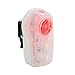 Planet Bike Superflash Turbo Bike rear light