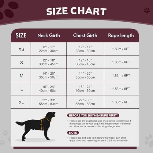 FAYOGOO Hundegeschirr, Kein Choke Front Clip Hund Reflektierendes Geschirr, No-Pull Verstellbare Weiche Gepolsterte Haustier Weste Set für kleine Mittlere Große Hunde Gehen (Lila, M)