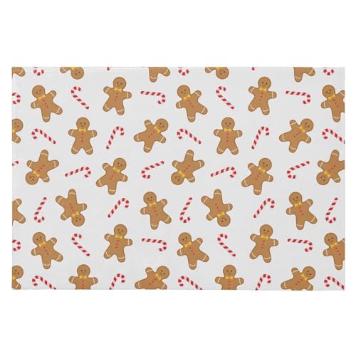 SAMAU  փ}bg  WW[NbL[ LfB[ ӂӂ hA}bg DƂ ~ O Ɩp ItBXp ƒp 唻 60*90CM