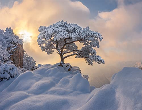 Broderie au Point de Croix Strass Peinture Paysage Neige Antistress Salon 80x120
