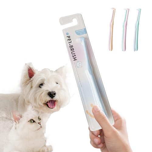 Image of Pet Toothbrush for Dogs, Cats with Soft Bristles, Easy Teeth Cleaning & Dental Care, Set of 5, 4 Toothbrushes & 1 Ceramic Holder for Independent Storage, Assorted Colors (Blue, one Size)
