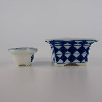 Amazon.co.jp: 盆栽鉢 ゆうき祥石 2点セット 豆鉢 長辺 約5cm 長方鉢