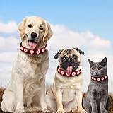 AUAUY Hundehalsband Leuchtend, LED Leuchthalsband Hunde Halsband USB Wiederaufladbar Wasserdichtes für Kleine Mittlere Große Haustier Einstellbar Sicherheit Kragen mit 3 Beleuchtungsmodi (Rot-M)