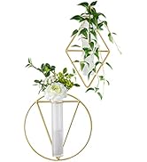 Amazon.co.jp: [アップフレーム] 壁掛け 花瓶 おしゃれ 試験管 セット