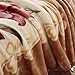 LGYKUMEG Korean Mink Blanket Fleece Blanket for Winter,9 Lbs -2 Ply Heavy & Warm Korean Style Bed Blanket 79