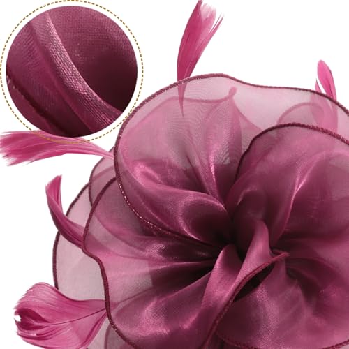 Image of DRESHOW Fascinators Hat Tea Party Headwear Ribbons Feathers on a Headband and a Clip for Women