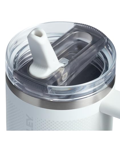 STANLEY Quencher ProTour Flip Straw Tumbler with Leakproof Lid 20 oz | Built-In Straw and Handle | Cup Holder Compatible for Travel | Insulated Stainless Steel Cup | BPA-Free | Frost Fade