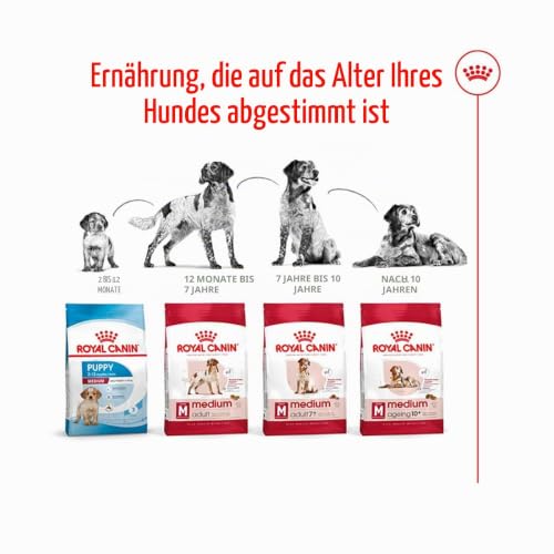 Royal Canin Medium Adult, 1er Pack (1 x 10 kg Beutel) - Hundefutter