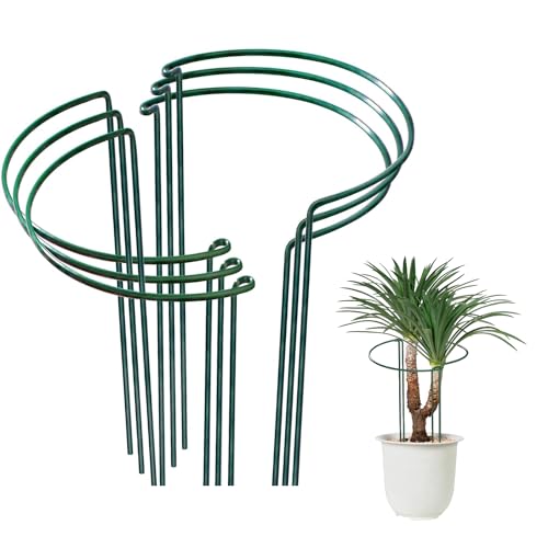 OLDELITE 6pcs Plant Supports for Outdoor Plants 20 x 35 cm Plant Stakes Metal Half Round Plant Supports Ring Cage Garden Plant Supports for Rose Flowers Vine and Tomato Plants