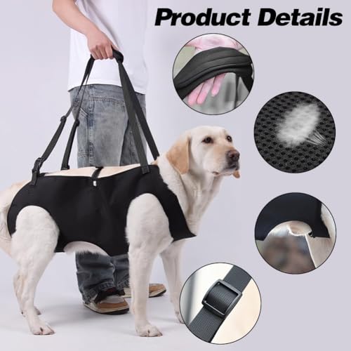 Yuragim Hunde Tragehilfe, Tragbares Hundegeschirr Treppe Verstellbare Tragehilfe Geschirr Hebegeschirr für Hinterbeine Hüftstütze mit Griffen Sicherheitsunterstützung für behinderte, verletzte Hunde