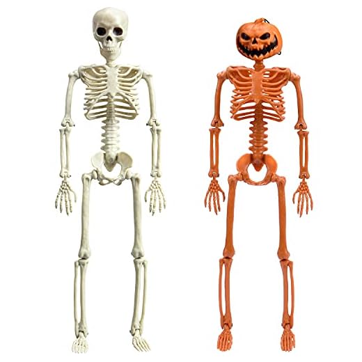 XONOR 2Pcs Posable Halloween Skeletons 15'' Full Body Skeleton with Movable Joints for Halloween Props Decoration