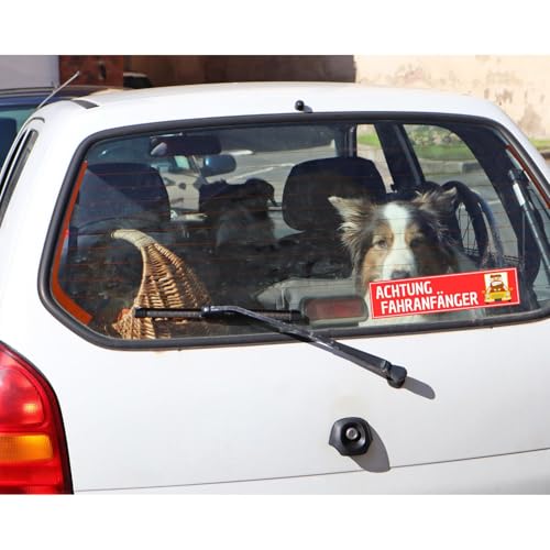 Achtung Fahranfänger -Auto Lustiges Saugnapf-Schild,Olanmarp, – Einfach zu Befestigen, UV-beständig & Wiederverwendbar – Perfekt für Kfz und Außenbereich- ca. 20 x 5 cm - Made in EU