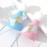 Dog Bone 1st Birthday Hat - Dog Birthday Party Decorations,1st Birthday Crown for Dogs, Dog Pet Birt