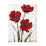 Trademark Fine Art 'Red Poppy Fresco II' Canvas Art by Tim O Toole 35x47