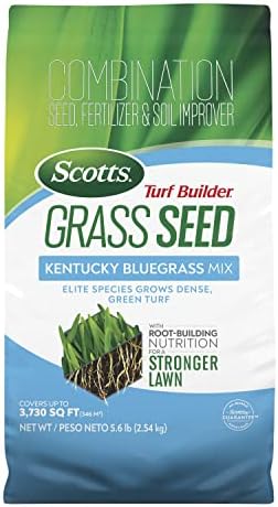 Scotts Turf Builder Grass Seed Kentucky Bluegrass Mix with Fertilizer and Soil Improver, Grows Dense, Green Turf, 5.6 lbs.