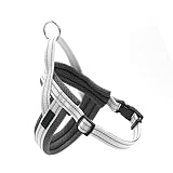 [Polyvalent] : la laisse pour chien a de nombreuses fonctions, non seulement adaptée pour les chiens à porter en été en raison de la conception de type gilet, mais peut également être utilisée comme corde de guidage.