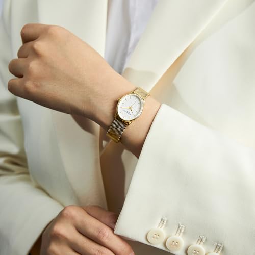 Montre analogique vintage femme maille milanaise acier VICTORIA HYDE chic