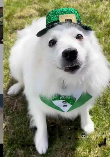 Disfraz de tuxedo para perro St. Patrick's Day talla S miniatura 5