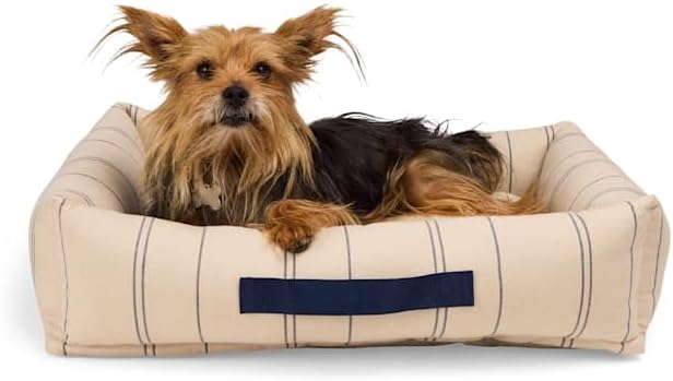 EveryYay by Petco Stripe Cuddler Dog Bed 32" L X 26" W X 8" H Tan/Navy
