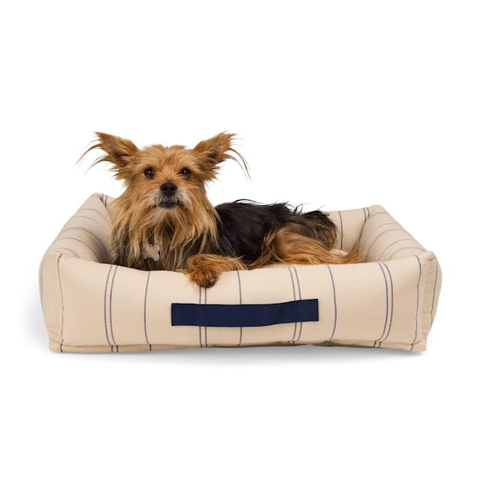 Amazon.com : EveryYay by Petco Stripe Cuddler Dog Bed 24