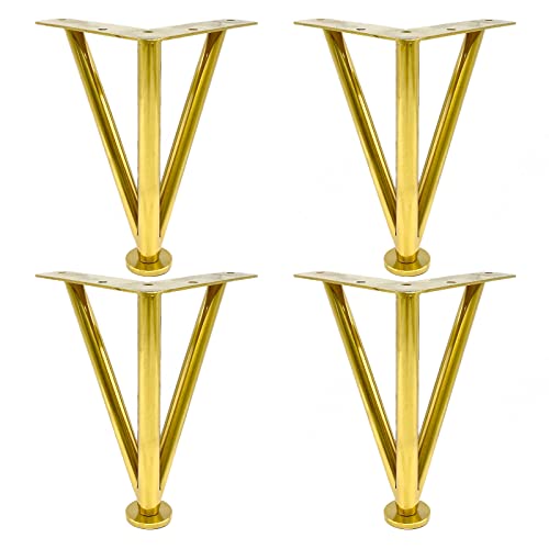 ߉\ȋwAse[ur 4Zbg _DIYƋr ubN/S[h/Vo[ \t@xbh HI R[q[e[u pr h hK 25cm/9.8C` S[hr