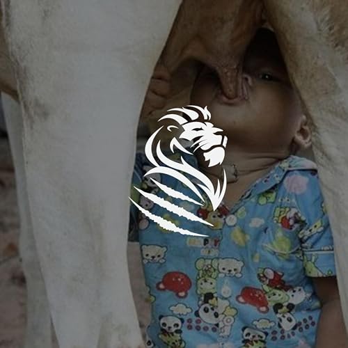 Filtering for Truth: Mashi papa Mashi